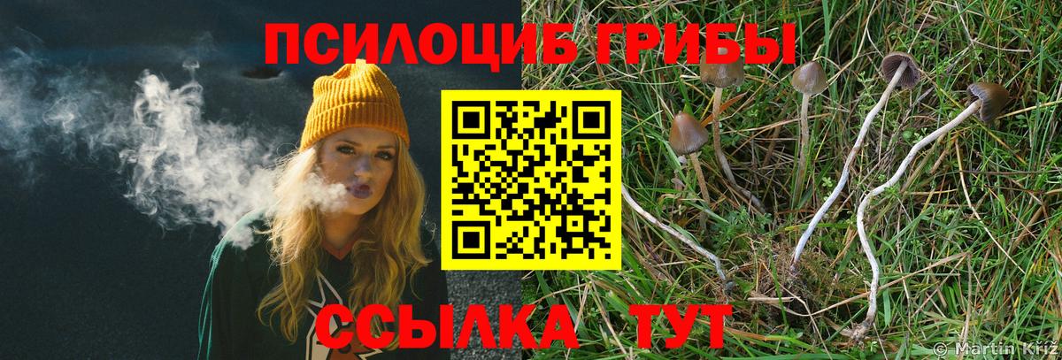 Минусинск  Псилоцибиновые грибы мухоморы  как найти закладки  Вход с VPN  Псилоцибиновые грибы мицелий 